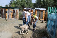 Волонтеры помогают Сахалинскому зоопарку ухаживать за животными, Фото: 23