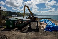 Минтранс России поможет Сахалину развивать Невельский и Холмский порты, Фото: 1
