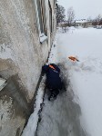 В Южно-Сахалинске спасли застрявшего под снегом бездомного пса, Фото: 5