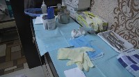 Подпольную стоматологию закрыли в Южно-Сахалинске, Фото: 6