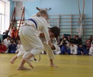 Более 130 юных спортсменов приняли участие в городском турнире по дзюдо , Фото: 3