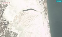Экологи обвиняют "Эксон" в гибели сельди у берегов Сахалина, Фото: 9