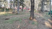 Уборка лесного массива в районе площади Славы, Фото: 12