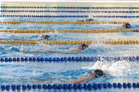 Пловцы борются за награды, Фото: 4