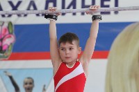 Открытое первенство по спортивной гимнастике прошло в Южно-Сахалинске, Фото: 4