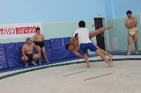 Впервые в истории на Сахалине прошел турнир по борьбе сумо, Фото: 26