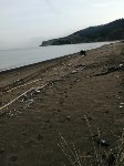 Пляж в Пильво замусорили, Фото: 2
