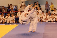 Второй год подряд в Южно-Сахалинске проводится международный турнир по дзюдо, Фото: 19