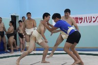 Впервые в истории на Сахалине прошел турнир по борьбе сумо, Фото: 19