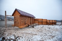 Около сотни благородных оленей доставили на Сахалин, Фото: 1