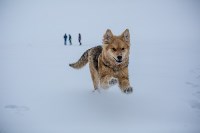 Французские паралимпийцы порыбачили на Сахалине, Фото: 4