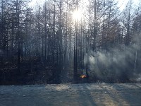 Пал травы перерос в большой природный пожар в окрестностях Березняков, Фото: 9