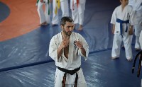 Трёхкратный чемпион мира по каратэ-киокусинкай провёл мастер-класс для юных сахалинцев, Фото: 2