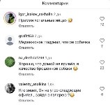Комментарии в соцсетях, Фото: 1