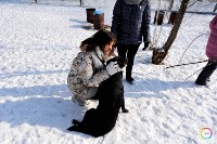 Больше 100 кг корма передали волонтеры сахалинскому приюту «Пес и кот», Фото: 5