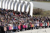 Свыше 2000 школьников поучаствовало во флешмобе в честь Дня Победы, Фото: 1