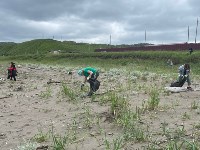 Берег моря у Лопатино очистили от мусора, Фото: 3