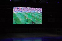 В областном центре состоялся открытый просмотр чемпионата мира по футболу, Фото: 8