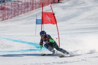 Сахалинец Александр Фёдоров взял золото первенства России по горнолыжному спорту, Фото: 10