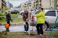 Субботник в Дальнем, Фото: 1