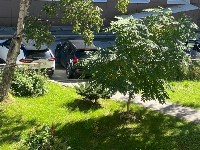 Южносахалинка пожаловалась на забитый автомобилями двор, Фото: 6