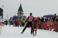 Чемпионат области по ездовому спорту, Фото: 8