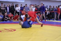 Больше 150 юных спортсменов сразились во Всероссийский день самбо , Фото: 30