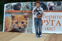 В рамках выставки беспородных собак в Южно-Сахалинске 8 питомцев обрели хозяев, Фото: 43