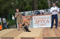 В рамках выставки беспородных собак в Южно-Сахалинске 8 питомцев обрели хозяев, Фото: 225