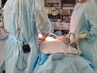 Сахалинские онкологи совершенствуют навыки проведения малоинвазивных операций, Фото: 1