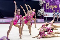 Первенство ДФО по эстетической гимнастике , Фото: 2