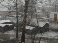 Первый снег на Сахалине, Фото: 2