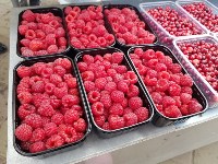 Чехарда с ценами на ягоду удивила сахалинцев, Фото: 2