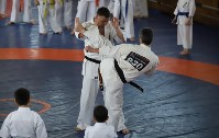 Трёхкратный чемпион мира по каратэ-киокусинкай провёл мастер-класс для юных сахалинцев, Фото: 3