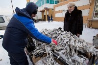 На Сахалине упорядочивают торговлю морскими деликатесами, Фото: 9