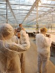 На Сахалине подвели итоги регионального фестиваля школьных медиацентров, Фото: 2