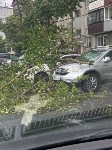 Дерево рухнуло на три автомобиля в Южно-Сахалинске, Фото: 6