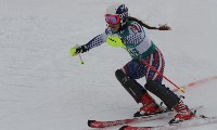 Чемпионат России по горным лыжам, Фото: 2