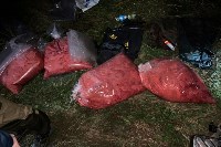 Схрон со 150 килограммами красной икры обнаружили сахалинские пограничники, Фото: 7