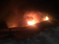 Грибная ферма с американским оборудованием и котом сгорела в Тымовском, Фото: 10