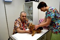 SakhVet, ветеринарная аптека, Фото: 6