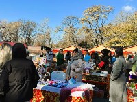 Праздник "День красной рябины" отметили в Южно-Сахалинске , Фото: 8