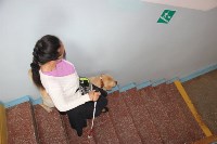 В южно-сахалинской поликлинике впервые появился пациент с собакой-поводырем, Фото: 1