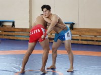 На Сахалине хотят провести чемпионат по ссирым с участием корейских борцов, Фото: 7