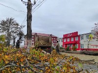 В Поронайске вырубили целую улицу деревьев, Фото: 3