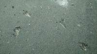 Тягач рассыпал бордюрный камень в центре Южно-Сахалинска, Фото: 2