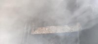 В сгоревшем курятнике в Тымовском погибли 37 перепёлок, Фото: 1