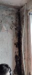 Холмчанка жалуется на грибок и сырость в своём доме, Фото: 8