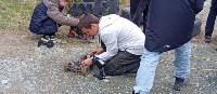 Открытый чемпионат области по автомодельному спорту стартовал на Сахалине, Фото: 1