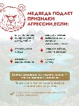 За год на Сахалине медведи выходили к людям более 500 раз, Фото: 5